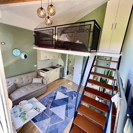 Willa Alvin House Szkodra Zewnętrze zdjęcie